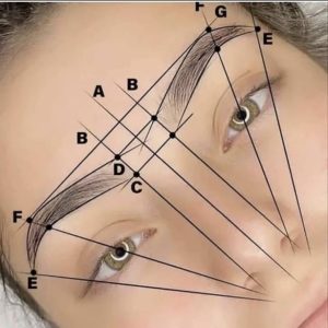Brow mapping diagram showing how to measure and design the perfect eyebrow shape at Amy’s Lash & Brows in Punta Gorda, FL.
